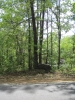 PICTURES/South Carolina - Keowee Key & Greenville/t_Cherokee Trail Tree1.jpg